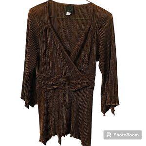 JTB Feminine Brown Micro Pleated V Neck Long Sleeves Babydoll Vintage Blouse.